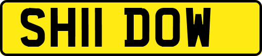 SH11DOW