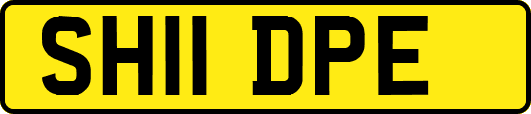 SH11DPE