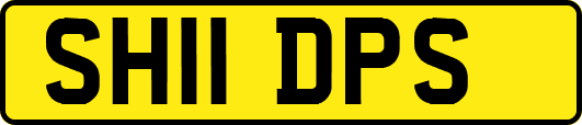 SH11DPS