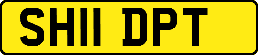 SH11DPT