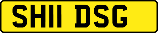 SH11DSG