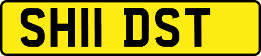 SH11DST
