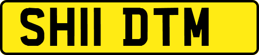 SH11DTM