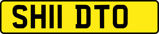 SH11DTO