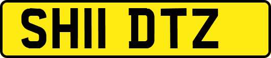 SH11DTZ