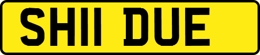 SH11DUE