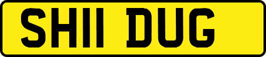 SH11DUG