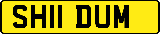 SH11DUM