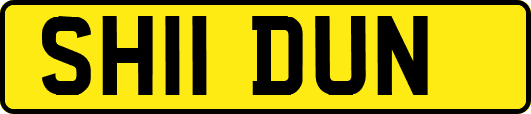 SH11DUN
