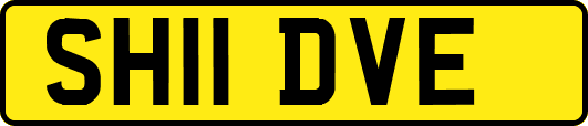SH11DVE