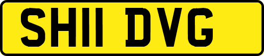 SH11DVG