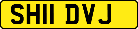 SH11DVJ