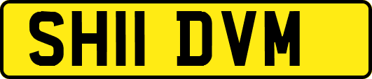 SH11DVM