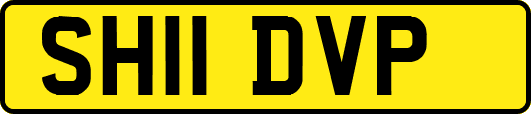 SH11DVP