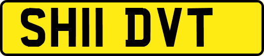 SH11DVT