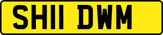 SH11DWM