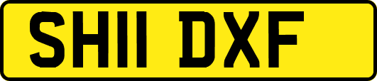 SH11DXF