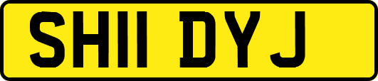 SH11DYJ
