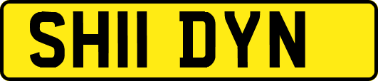 SH11DYN