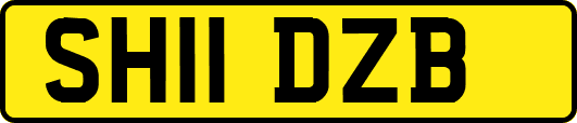 SH11DZB