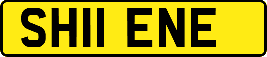 SH11ENE