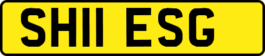 SH11ESG