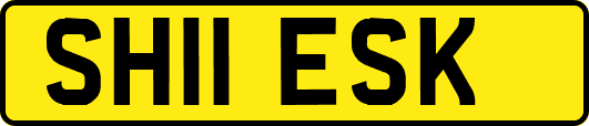 SH11ESK