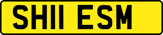 SH11ESM