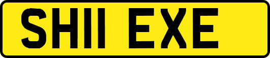 SH11EXE