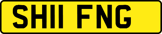 SH11FNG