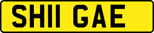 SH11GAE