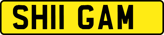 SH11GAM