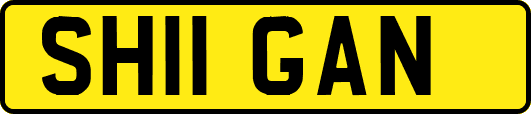 SH11GAN