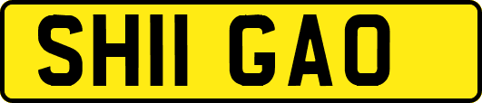 SH11GAO