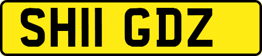SH11GDZ