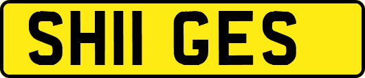 SH11GES