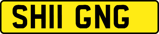 SH11GNG