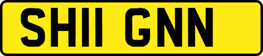 SH11GNN
