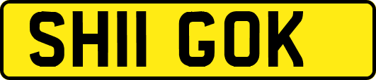 SH11GOK