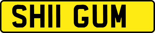 SH11GUM