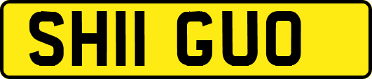 SH11GUO