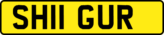 SH11GUR