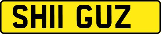 SH11GUZ