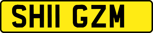 SH11GZM