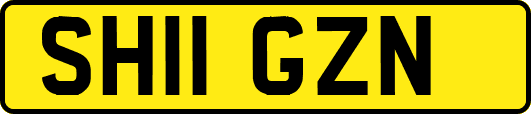 SH11GZN