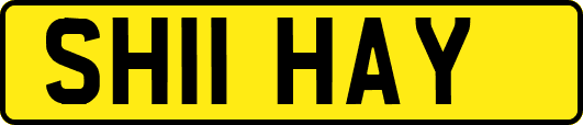 SH11HAY