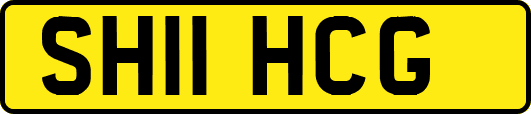 SH11HCG