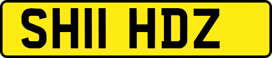 SH11HDZ
