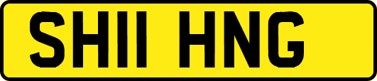 SH11HNG