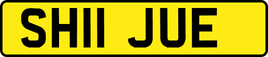 SH11JUE